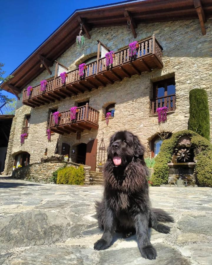 Mas D'En Roqueta Hotell Aravell Eksteriør bilde